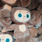 385747804_141426729051379_5622512088505710702_n