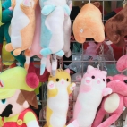 384439494_141426902384695_3260137847812913889_n