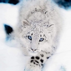 384528727_646912550760358_2904521282508097357_n