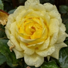 384274889_764200985511165_6283292302073114685_n