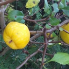 385891145_122190925304000019_1043440511626393328_n