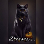 382977968_1767092160428590_2371255233336516202_n