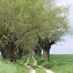 386602198_122109577112050081_2587452449441664374_n