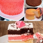 386543280_229988350057500_4737629699287468159_n