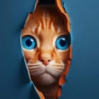 384577931_6693658477376860_6333758652316428297_n