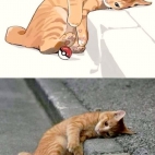 385057472_284771984506951_1410885113319870170_n