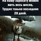 384483693_2473884219440755_4631790318978464428_n