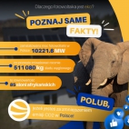 319471016_23851838699780574_5913925998700729645_n