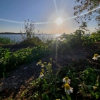 385381790_836128001555470_7407252106512672059_n