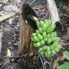 385311383_289253353963231_4460902939416010554_n