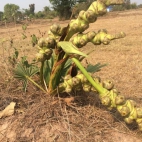 385257392_289253277296572_8220996362209746612_n