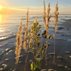 384450000_837323491435921_7581203179440753779_n (1)