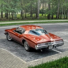 385864975_275491162058071_468573693116831248_n