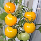 385004951_278021258404578_4763147796127239333_n