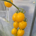 385037238_278021248404579_342740188700851833_n