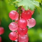 385019173_289674023921164_8185666309268499249_n