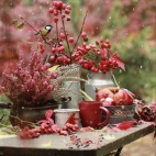 386229968_1031187355000642_8615831870199336183_n