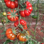 385048200_876292450756908_3748679207198043411_n