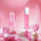 385690820_375924018163218_3478356319573991947_n