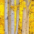 382459845_793685656098305_1639182312385290985_n