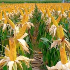 385690789_843041030825413_3281488532109425832_n