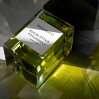 385038073_17896179245893388_4697577065270994760_n