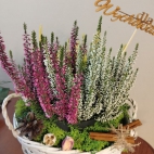 385010210_122122199522032839_5968731142542340796_n