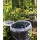 358141959_248224697960173_2510003634390844439_n