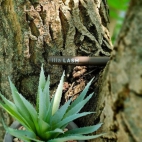 381877848_23861386145460678_3763028683940448193_n