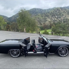 383428522_259539980397385_3855783788821239471_n