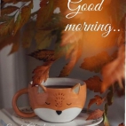 384474305_2446139072222456_7500839753629484677_n