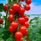 380342572_294933629917995_3488164201784649686_n