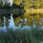 384276931_278618755022346_4027673460276798633_n