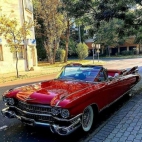 378393454_6720762821303816_6262884148055027317_n