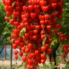 382818978_284401911029981_2359630988835985858_n