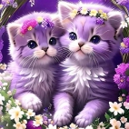 382241763_1111944099977970_1118130995309395983_n