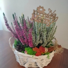 385039485_122122228364032839_2350586347729389081_n