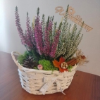 384995910_122122228322032839_5510157782943591627_n