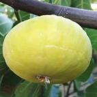 380821009_874110907641729_8516105518534441534_n