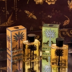 384762960_273888095603400_3822778286324419222_n