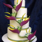 384310516_286052524200463_6736482451076104728_n