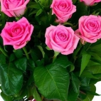 370850465_122100007166021568_4347951652794371036_n