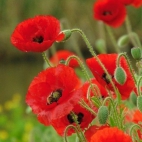 380368045_122104860428041264_1675229899211558040_n