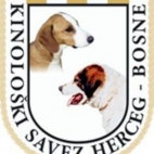 378511266_122115562652026220_2146491271179914249_n