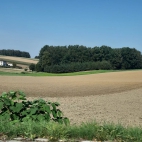 383343256_122187892550000019_4740278980018696513_n