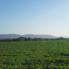 383171008_122187884048000019_4544507540781000986_n