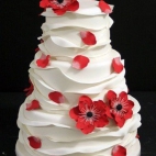 384694224_286359497503099_3745477716343776112_n