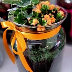 378515330_122119870424026109_5768470323859263386_n