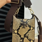 383848801_276090688673841_4842880934381109434_n