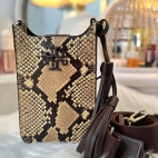 383842616_276090332007210_7957894170968494463_n